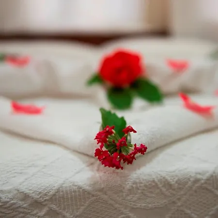فندق Han Dalyan Hotel 3*