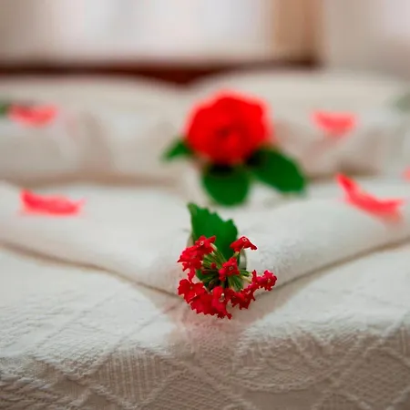 מלון Han Dalyan Hotel 3*